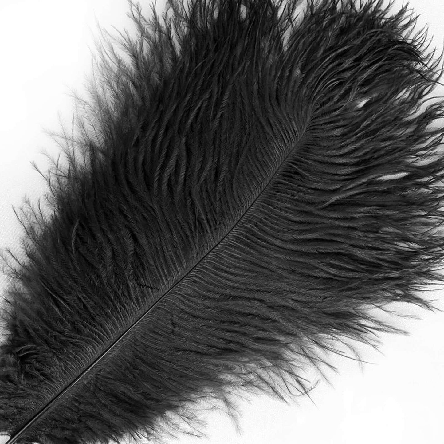 12 Pack 13"-15" Black Natural Plume Real Ostrich Feathers, DIY Centerpiece Fillers