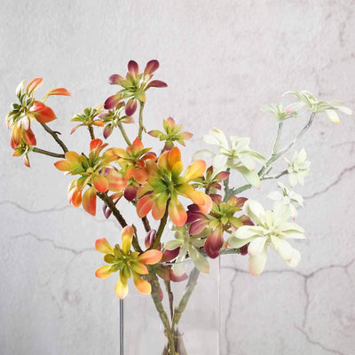 3 Pack 18" Assorted Artificial Aeonium Spray Succulent Air Plants