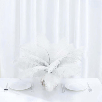 12 Pack 13"-15" White Natural Plume Real Ostrich Feathers, DIY Centerpiece Fillers