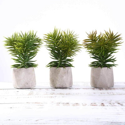 3-Pack Crassula Artificial Succulents in Geometric Ceramic Pot - Lifelike Decorative Faux Plants for Home Office & Event Design 8"