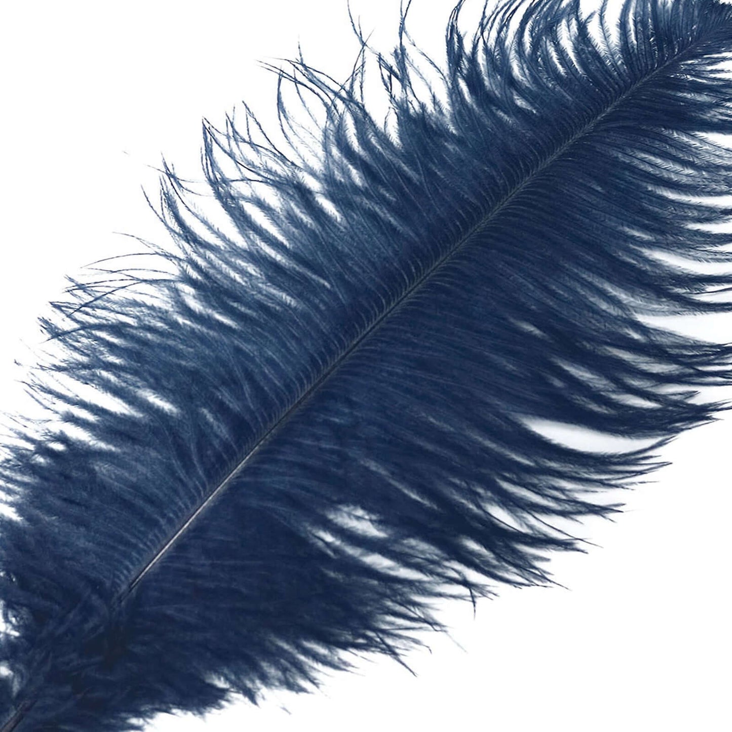 12 Pack 13"-15" Navy Blue Natural Plume Real Ostrich Feathers, DIY Centerpiece Fillers