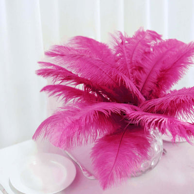 12 Pack 13"-15" Fuchsia Natural Plume Real Ostrich Feathers, DIY Centerpiece Fillers