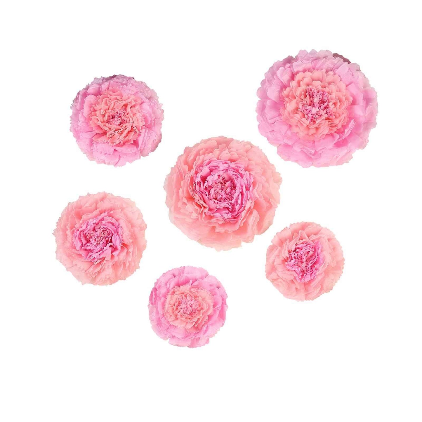 Set of 6 Blush Pink Carnation 3D Paper Flowers Wall Decor - 7",9",11"