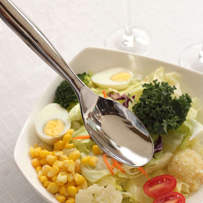 10-Pack Plastic Serving Spoons Silver for Buffet & Party Tables 10"