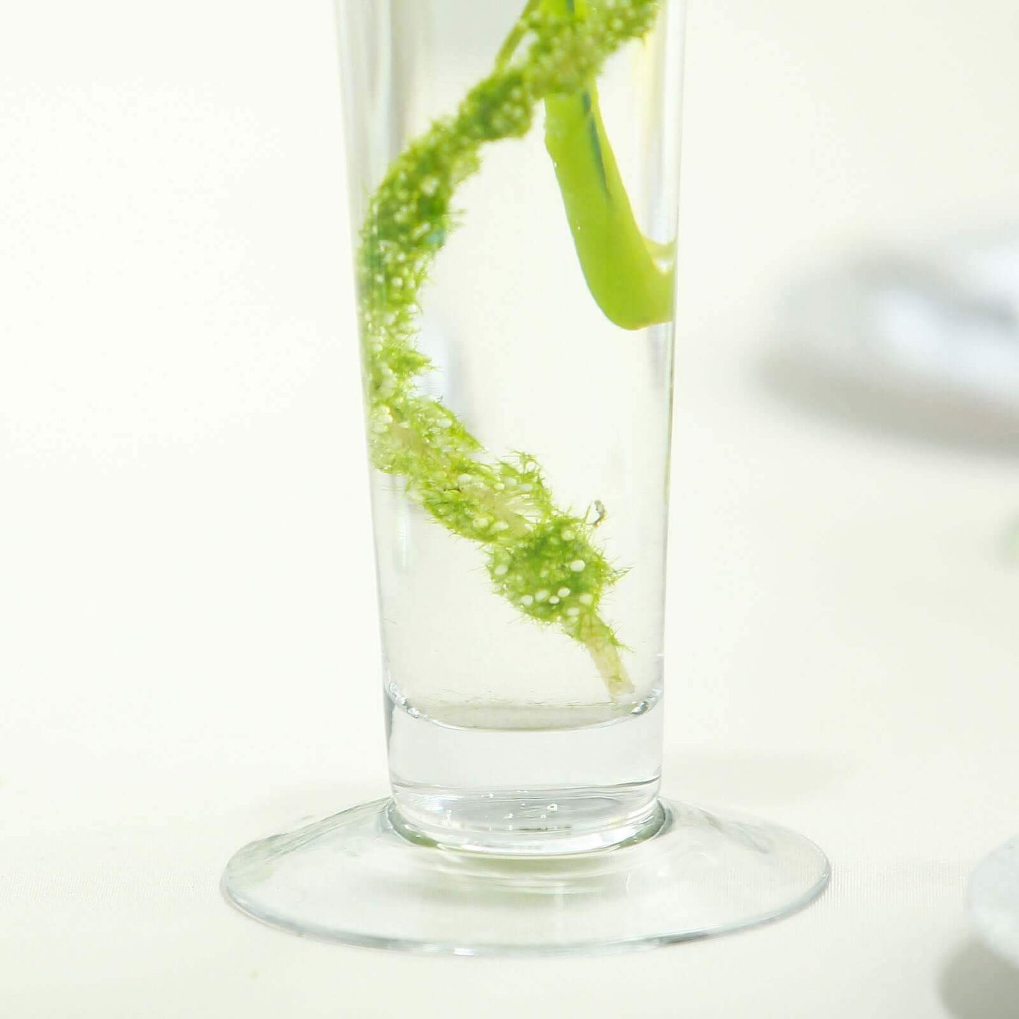 6-Pack Glass Trumpet Vases Clear - Durable Design for Chic Event Displays 24"