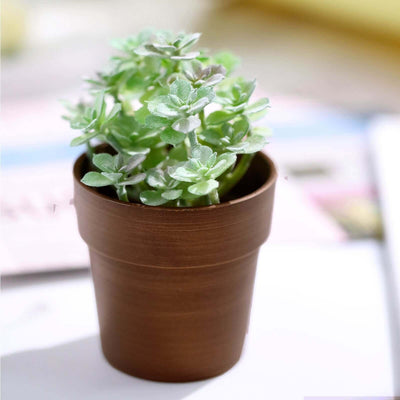 3-Pack Flower Plant Pots Small Design Rustic Brown - Plastic Indoor Decorative Planters 3"