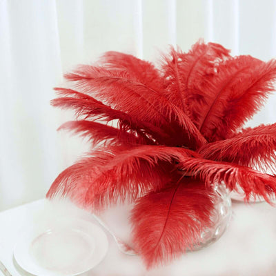 12 Pack 13"-15" Red Natural Plume Real Ostrich Feathers, DIY Centerpiece Fillers
