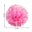 6 Pack 10" Pink Tissue Paper Pom Poms Flower Balls, Ceiling Wall Hanging Decorations