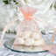 10 Pack 3"x4" Blush Organza Drawstring Wedding Party Favor Gift Bags - Clearance SALE
