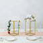 2-Pack Wedding Flower Stand Gold Metal Geometric Column Frame Rectangular - Versatile Floral Pedestal for Sophisticated Arrangements 12"