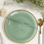 20-Pack 10’’ Plastic Dinner Plates Round Transparent Dusty Sage Green Swirl with Gold Rim â€“ Crystal-Like Elegant