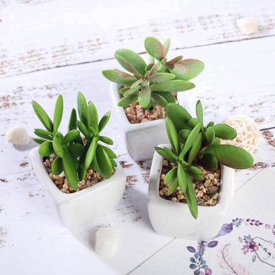 3-Pack Mini Jade Artificial Succulents in Ceramic Pots - Lifelike Decorative Faux Plants for Home Office & Event Design 3"