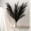 3 Stems Artificial Pampas Grass Decor Black - Soft Realistic Faux Ornamental Grass Branches for Rustic Boho Chic Backdrops Floral Styling & Vase Displays 44"