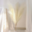 3 Stems Artificial Pampas Grass Decor Cream for Rustic Boho Chic Backdrops Floral Styling & Vase Displays 44"