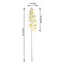 2 Stems 40" Tall Cream Artificial Silk Orchid Flower Bouquets