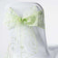 5 Pack Organza Chair Sashes with Satin Leaf Embroidery Apple Green - Reusable Sheer Design 7"x108"
