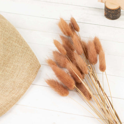 50-Pack Dried Bunny Tail Grass Brown for Modern Farmhouse Decor Event Styling & Floral Displays 15’’ - Flower Stems