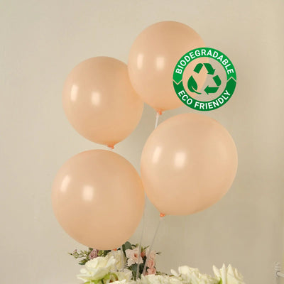 50 Pack Matte Pastel Blush Biodegradable Balloons 12’’ Round Eco-friendly Thick Latex Party Balloons - Decorations