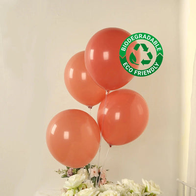 50 Pack Matte Pastel Dusty Rose Biodegradable Balloons 12’’ Round Eco-friendly Thick Latex Party Balloons - Decorations