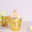 6 Pack 3" Gold Plastic Party Favor Bucket-Containers, Mini Succulent Nursery Planters, Flower Pot Crafts