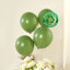 50 Pack Matte Pastel Dusty Sage Green Biodegradable Balloons 12", Round Eco-friendly Thick Latex Party Balloons