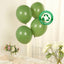50 Pack Matte Pastel Dusty Sage Green Biodegradable Balloons 12", Round Eco-friendly Thick Latex Party Balloons