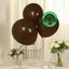 10 Pack Matte Pastel Cinnamon Brown Biodegradable Balloons 18", Round Eco-friendly Thick Latex Party Balloons