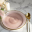 20-Pack 10" Plastic Dinner Plates, Round Transparent Dusty Rose Swirl with Gold Rim â€“ Crystal-Like Elegant Party Plates