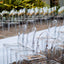 8 Pack Stackable Clear Acrylic Ghost Banquet Chairs with Oval Back, Fully Assembled Armless Event Accent Chair