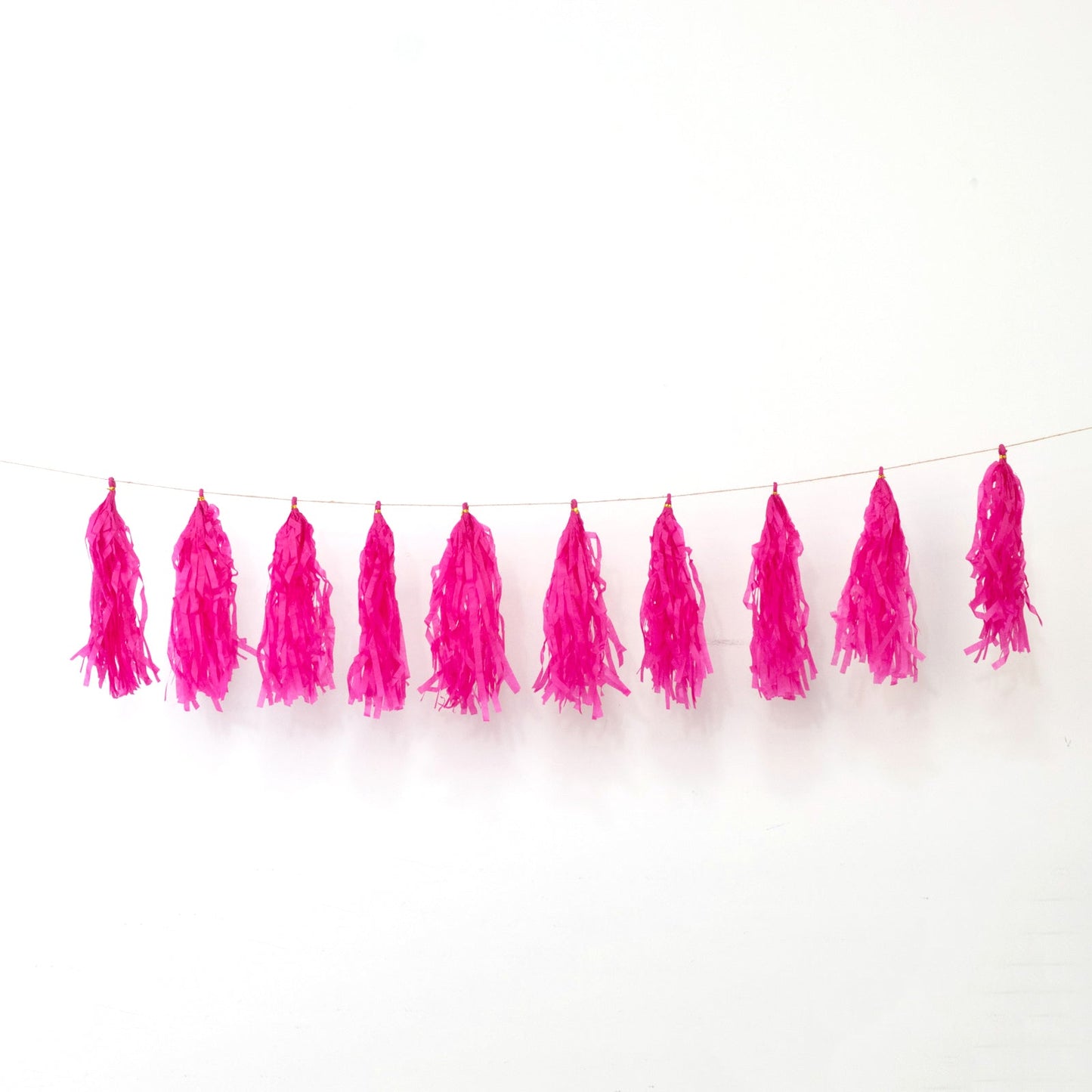 10 Pack Pink Tissue Paper Tassel Garland â€“ Pre-Tied 12" Hanging Fringe Streamers with 10ft String for Party & Backdrop DÃ©cor