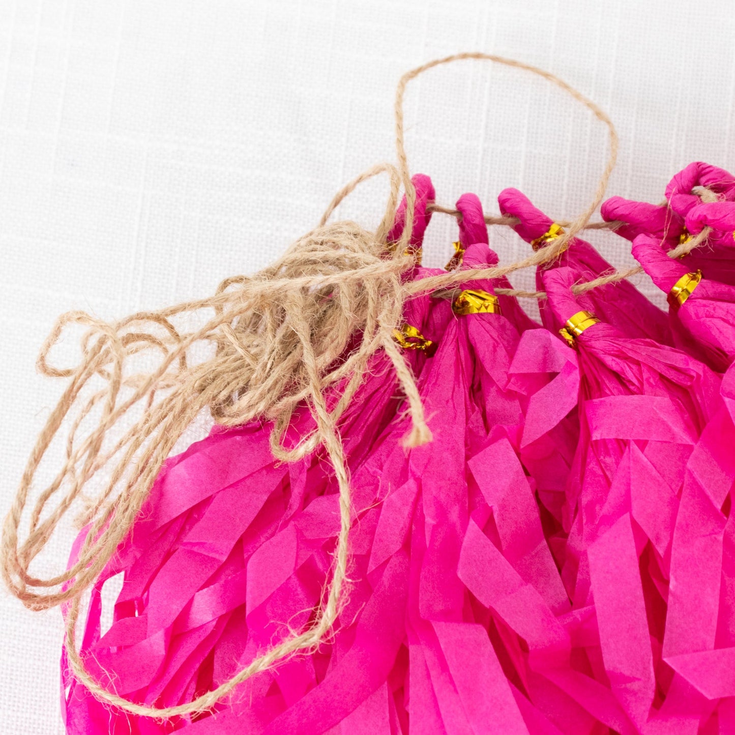 10 Pack Pink Tissue Paper Tassel Garland â€“ Pre-Tied 12" Hanging Fringe Streamers with 10ft String for Party & Backdrop DÃ©cor