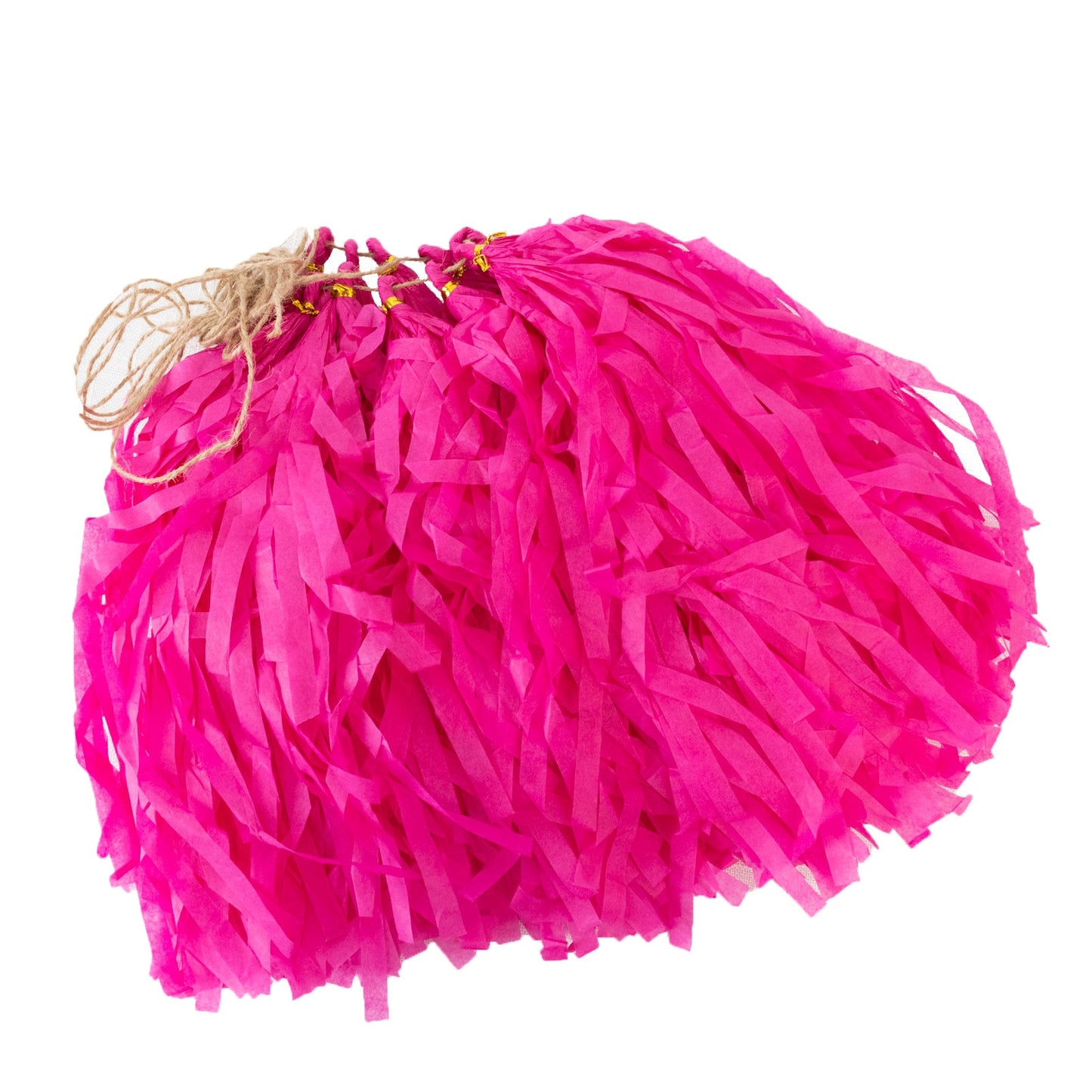 10 Pack Pink Tissue Paper Tassel Garland â€“ Pre-Tied 12" Hanging Fringe Streamers with 10ft String for Party & Backdrop DÃ©cor