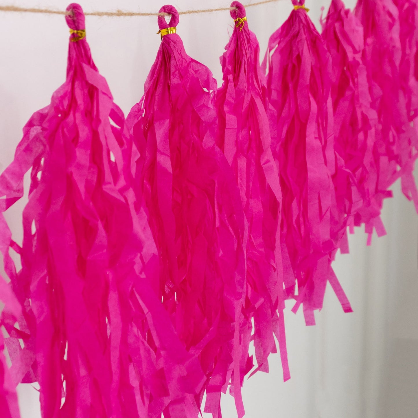 10 Pack Pink Tissue Paper Tassel Garland â€“ Pre-Tied 12" Hanging Fringe Streamers with 10ft String for Party & Backdrop DÃ©cor