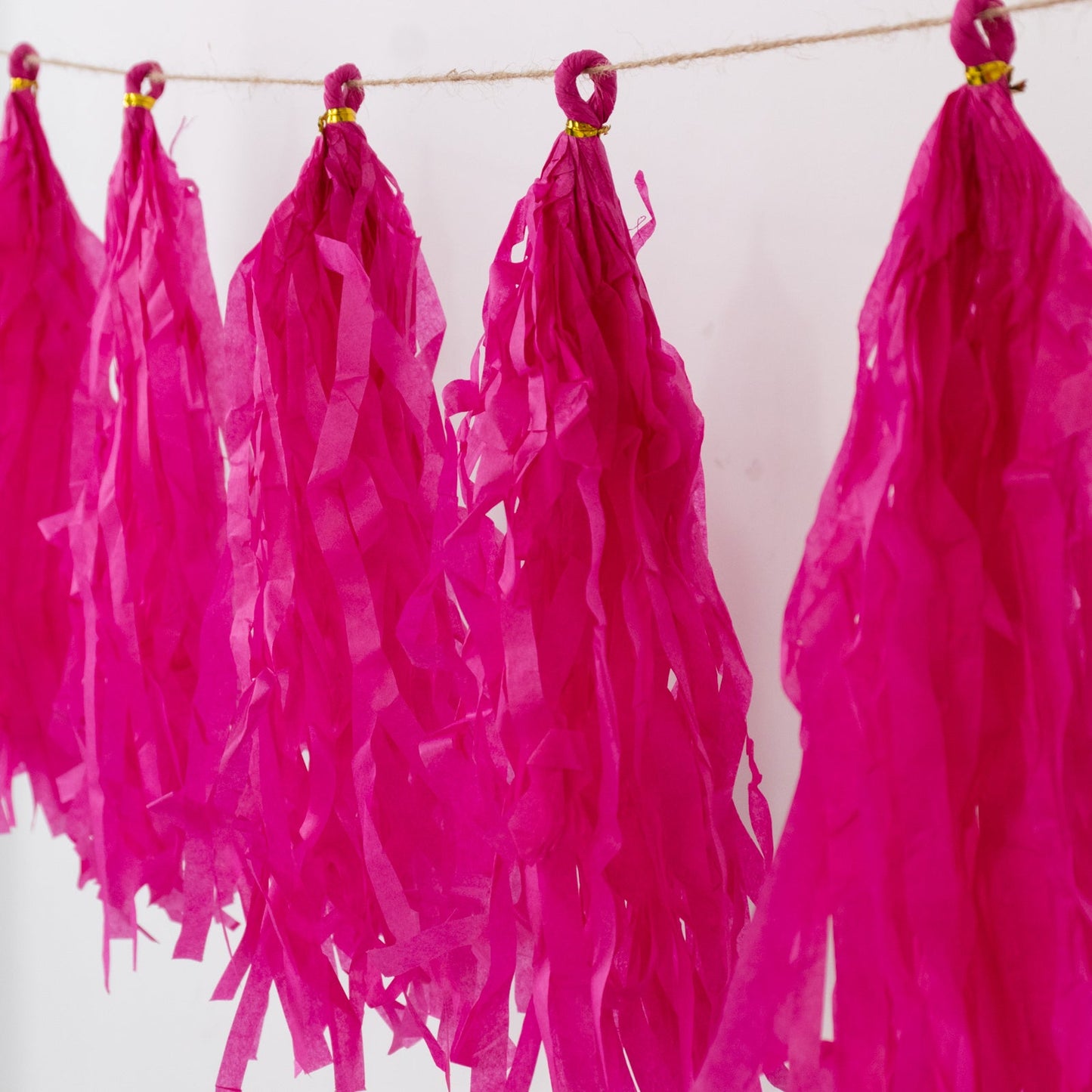 10 Pack Pink Tissue Paper Tassel Garland â€“ Pre-Tied 12" Hanging Fringe Streamers with 10ft String for Party & Backdrop DÃ©cor