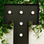Giant LED Marquee Light Up Letter "T", Black 4ft Pre-Cut Foam Board with 10 Warm White Battery Operated LEDs, Glue Gun and Sticks