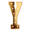 Giant LED Marquee Light Up Letter "Y", Gold 4ft Pre-Cut Foam Board with 10 Warm White Battery Operated LEDs, Glue Gun and Sticks