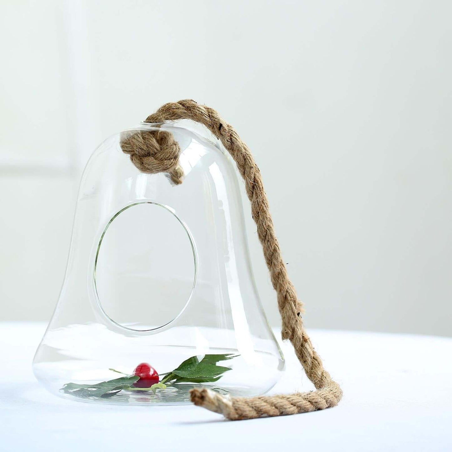Glass Terrarium Hanging Bell Shaped Design with Twine Rope - Unique Free-Falling Planter for Air Plants & Displays 9"