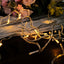 30ft Warm White 100 LED Connectable String Lights, 120V Fairy Lights