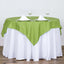 Polyester 54"x54" Table Overlay Square Tablecloth Apple Green - Wrinkle-Resistant & Durable Table Cover