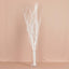 6-Pack Natural Birch Tree Branches 46" White - Versatile Extra Long Decorative Dried Willow Twigs Sticks for Vase Centerpiece Wedding Decor
