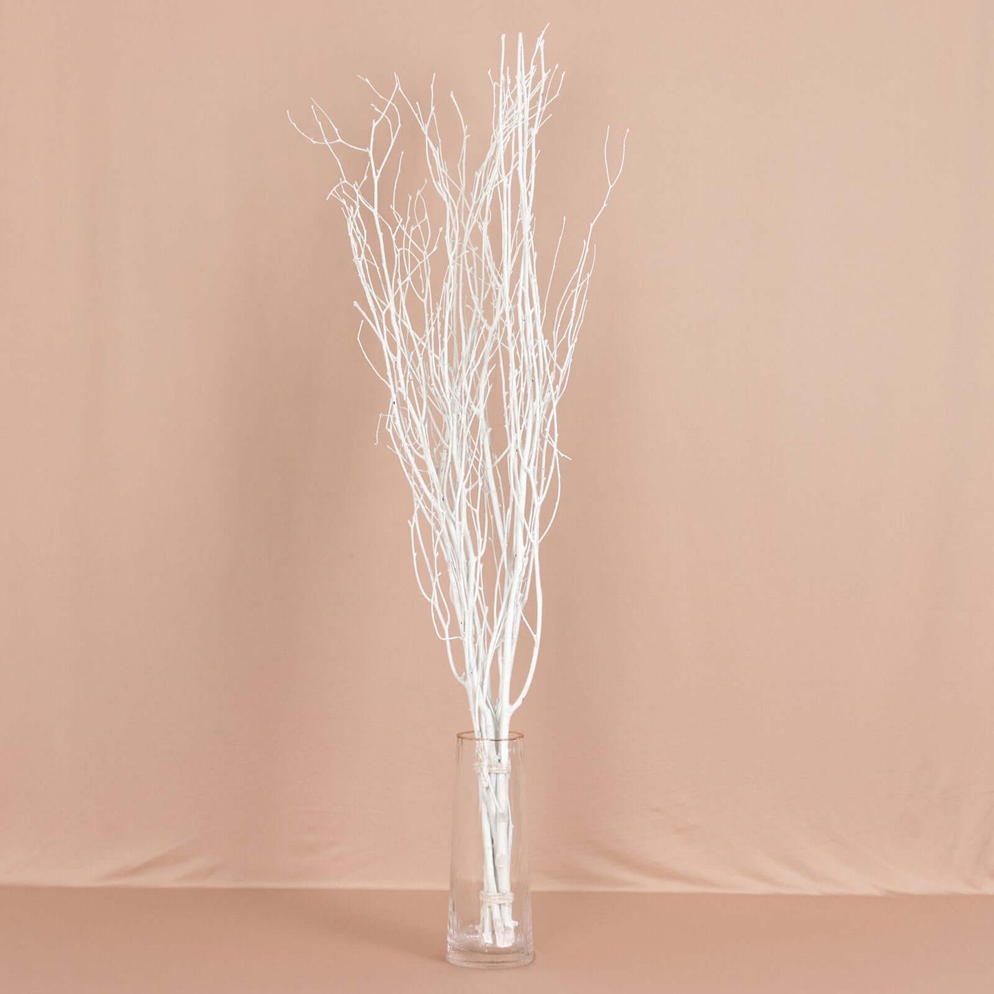 6-Pack Natural Birch Tree Branches 46" White - Versatile Extra Long Decorative Dried Willow Twigs Sticks for Vase Centerpiece Wedding Decor