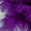 12 Pack 13"-15" Purple Natural Plume Real Ostrich Feathers, DIY Centerpiece Fillers