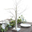 Lighted Birch Tree Lamp White Design Warm White - Battery Operated Rechargeable LED Table Accent 2ft