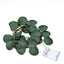 20 LED Vine String Lights Eucalyptus Leaf Design Green Warm White - Battery Operated Home DÃ©cor 7ft