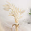 50-Pack Dried Bunny Tail Grass Natural White for Farmhouse Decor Event & Floral Displays 15"