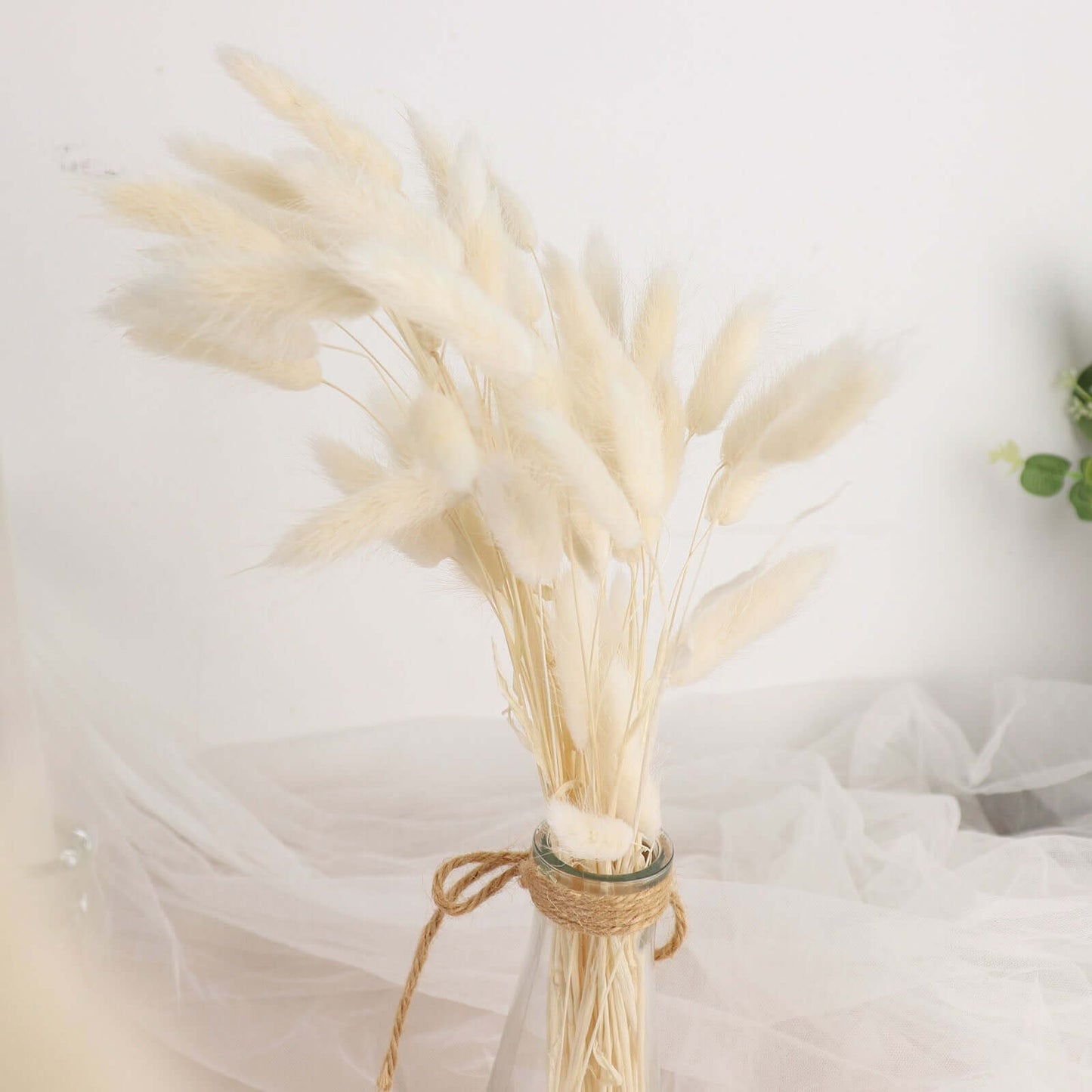 50-Pack Dried Bunny Tail Grass Natural White for Farmhouse Decor Event & Floral Displays 15"