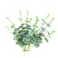 2 Bushes 19" Frosted Green Artificial Eucalyptus Branch Bouquet Plants