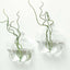 3-Pack Glass Wall Vase Hanging Flower Shaped Design Indoor Planters - Modern Wall Mounted Terrariums for Living Spaces