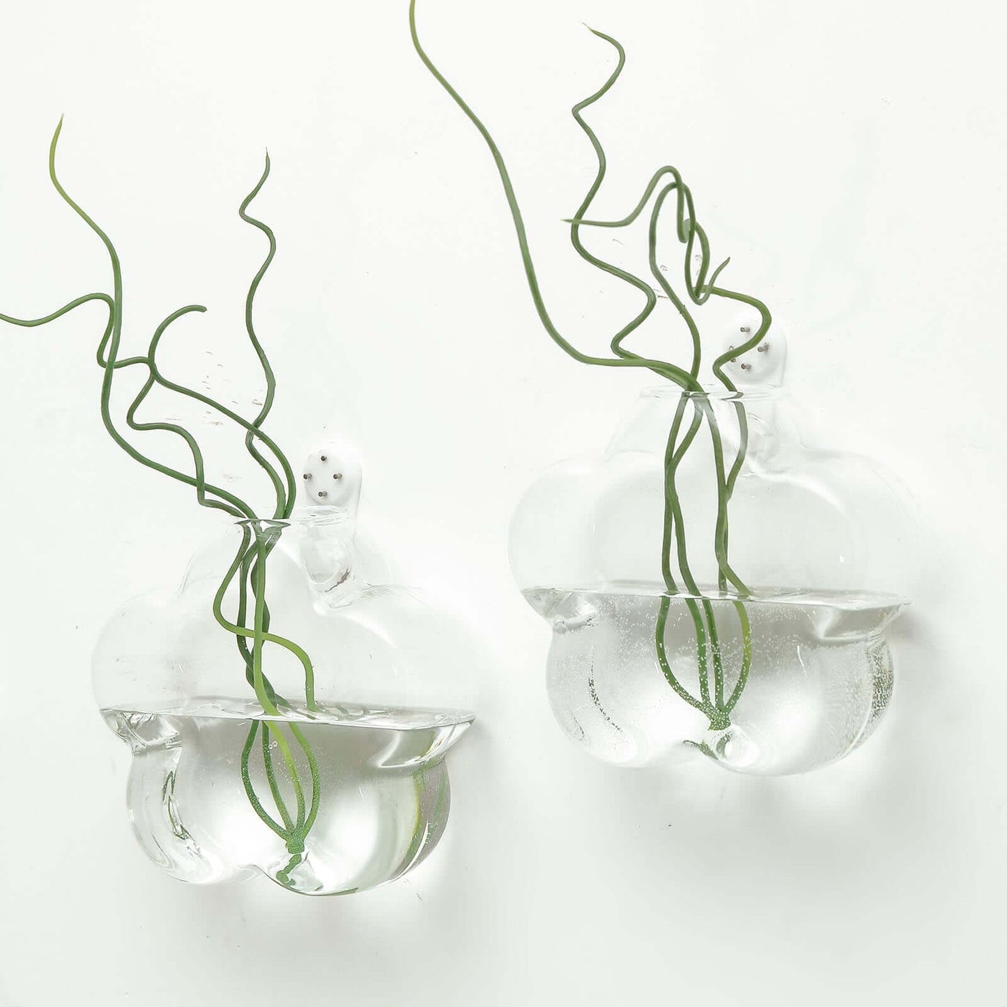 3-Pack Glass Wall Vase Hanging Flower Shaped Design Indoor Planters - Modern Wall Mounted Terrariums for Living Spaces