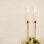 2-Pack Gold Metal Taper Candlestick Holders, Clear Glass Hurricane Candle Stands With Chimney Candle Shades 24"